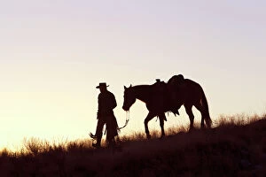 Images Dated 3rd February 2012: Cowboy - silhouette of cowboy with Quarter Horse at sunset