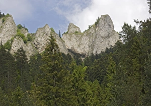 Three crowns limestone peaks in the Pieniny National Park Three crowns limestone peaks in the Pieniny National Park