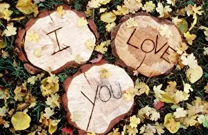 Cute - I Love You carved in wood