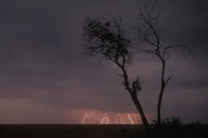 Africa Print: Lightning strikes above a lone tree on savanna