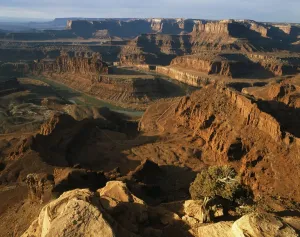 Dead Horse Point Print with Colorado River View