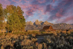 Moulton Barn Print at Sunrise, Grand Teton National Park