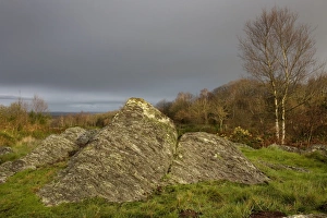 Druid hill - Paimpont forest, Brocéliande, Paimpont, Rennes, Brittany, France Druid hill - Paimpont forest, Brocéliande, Paimpont, Rennes, Brittany, France