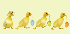 Ducklings - carrying Easter eggs - one wearing a straw hat Ducklings - carrying Easter eggs - one wearing a straw hat