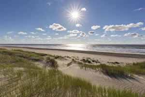 Texel Gallery: Dune landscape - isle of Texel - Netherlands