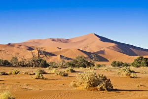 Images Dated 23rd January 2014: Dunes of Sossusvlei, Namib Desert, Namib-Naukluft
