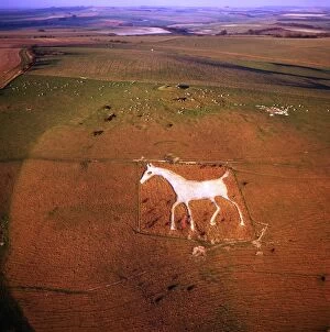 Carvings Gallery: England - Aerial view Alton Barnes White Horse
