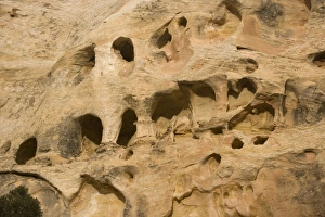 Erosion holes in sandstone cliff Erosion holes in sandstone cliff