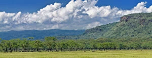 Expansive Gallery: Expansive acacia forest and clouds, Lake