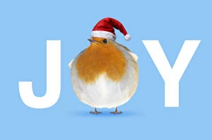 Fat Robin wearing Christmas hat, JOY Fat Robin
