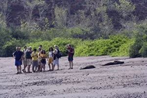 Galapagos Sealion with tourists on beach
