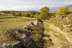 General view of high plateau in east Pyrenees, west of Eyne, nr. Font Romeu - key autumn migration route. Old droveway in foreground General view of high plateau in east Pyrenees, west of Eyne, nr. Font Romeu - key autumn migration route. Old droveway in foreground