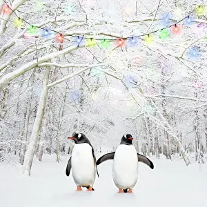 Gentoo Penguin - in winter woodland with snow and Christmas lights Gentoo Penguin - in winter woodland with snow and Christmas lights