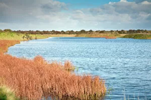 Lincolnshire Collection: Gibraltar Point - National Naure Reserve - Lincolnshire - UK