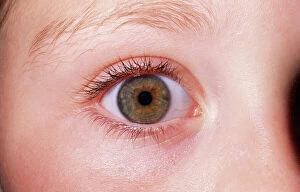 GirlOA³ EYE - close-up of single hazel eye