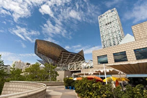 Images Dated 28th November 2012: Golden fish by Frank Owen Gehry and Hotel