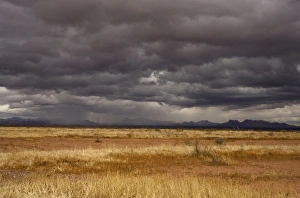 Grasslands and mountains near Douglas on the Arizona - Mexico border on a stormy winter evening Grasslands and mountains near Douglas on the Arizona - Mexico border on a stormy winter evening