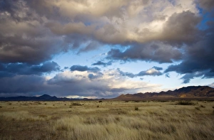 Grasslands and mountains near Portal on the Arizona - New Mexico border on a stormy winter evening Grasslands and mountains near Portal on the Arizona - New Mexico border on a stormy winter evening