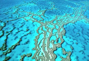 Great Barrier Reef Marine Park - Hardy Reef Great Barrier Reef Marine Park - Hardy Reef