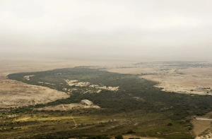Green vegetation of the Swakop River seen from the air with heavy fog rolling in off the Green vegetation of the Swakop River seen from the air with heavy fog rolling in off the