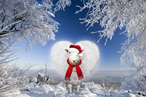 Heart shaped sheep wearing Christmas hat under snow covered trees Date: 29-01-2011 Heart shaped sheep wearing Christmas hat under snow covered trees Date: 29-01-2011