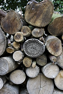 Insect or bug hotel made from plastic bottle and roll of corrugated cardboard in log pile Insect or bug hotel made from plastic bottle and roll of corrugated cardboard in log pile