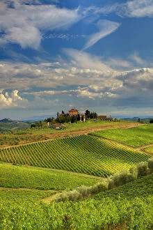 Julie Gallery: Italy, Tuscany. A view of the vineyards and villa