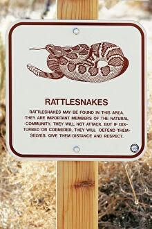 JZ-2452 Rattlesnake Warning Sign