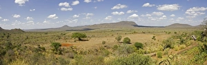Kenya - Panoramic view of typical scenery in Tsavo West National Park taken from Nguia Kenya - Panoramic view of typical scenery in Tsavo West National Park taken from Nguia