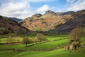 Images Dated 25th April 2006: Langdale Pikes in autumn sunshine - Lake District - England