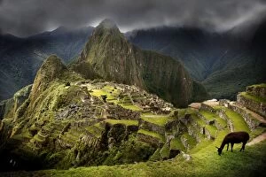Images Dated 19th May 2000: Machu Picchu Inca site. Peru