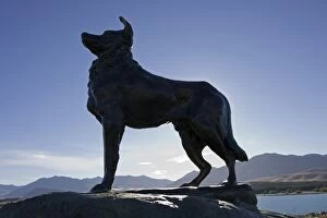 Images Dated 4th March 2007: Memorial - silhouette of sheepdog memorial. Lake Tekapo - Central South Island - New Zealand