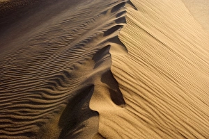 Mesquite Flat Sand Dune - obscured foot steps on the crest of a sand dune in early Mesquite Flat Sand Dune - obscured foot steps on the crest of a sand dune in early
