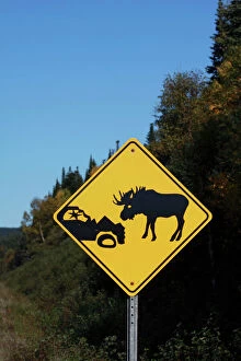 Images Dated 1st October 2009: Moose warning traffic sign - Gros Morne National park - Newfoundland - Canada