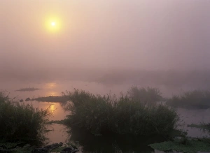 Morning mist - sunrise over Sabie river with morning mist and reflection Morning mist - sunrise over Sabie river with morning mist and reflection