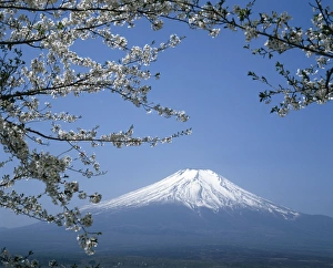 Mount Fuji