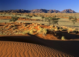 Namib Rand - view over red dunes and savanna to the Naukluft mountains Namib Rand - view over red dunes and savanna to the Naukluft mountains