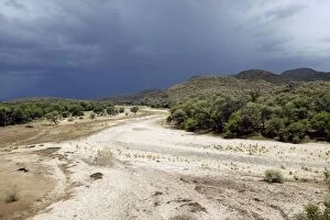 Images Dated 30th December 2003: Namibia - dry riverbed with gathering rain / storm clouds