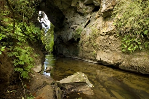 Natural Bridge - natural limestone arch and brook at Mangapohoe Natural Bridge Natural Bridge - natural limestone arch and brook at Mangapohoe Natural Bridge
