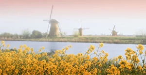 Images Dated 22nd January 2010: Netherlands, Kinderdijk. Windmills next