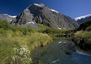 New Zealand - Mountain and river with shrubs in foreground. Lake in Gertrude valley New Zealand - Mountain and river with shrubs in foreground. Lake in Gertrude valley