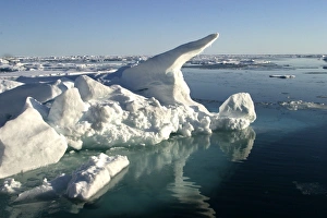 Nord Svalbard - Spitzberg - Pack Ice Nord Svalbard - Spitzberg - Pack Ice