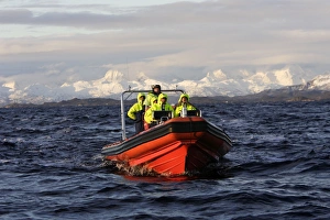 Observation boat looking for Killer Whales (Orcinus orca) Observation boat looking for Killer Whales (Orcinus orca)