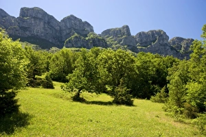 Old fields on the upper slopes of the Vikos Gorge and Astraki mountain, north-west Greece Old fields on the upper slopes of the Vikos Gorge and Astraki mountain, north-west Greece
