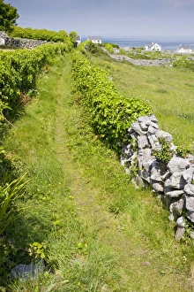 Old pathway through small limestone-walled old fields on Inisheer the Burren Old pathway through small limestone-walled old fields on Inisheer the Burren