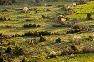 Olf field patterns and boundaries on a spring evening; at Cimikoy near Akseki Olf field patterns and boundaries on a spring evening; at Cimikoy near Akseki