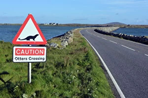 Empty Gallery: Otter, Road sign warning of otter crossing causeway
