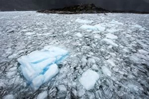 Pack Ice of Amalia / Skua Glacier with mountains