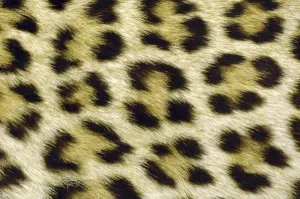 Patterns Prints: Leopard Spot Print