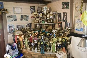 Images Dated 22nd July 2000: Pets - trophies & prizes from dog & cat competitions Pets - trophies & prizes from dog & cat